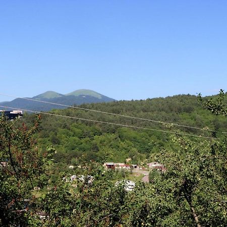 Dilijan Town Inn Exterior photo